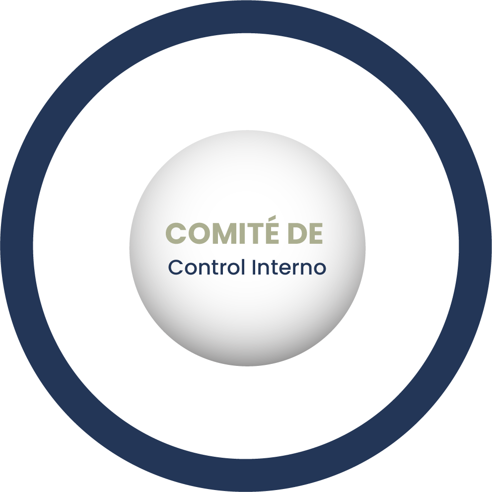 Comité de Igualdad Laboral y No Discriminación